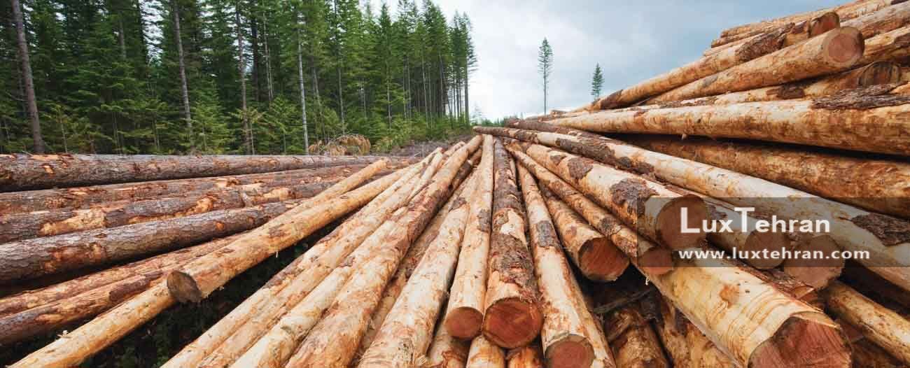 بریتیش کلمبیا بهشت متخصصان مرتبط به صنعت چوب و جنگل داری