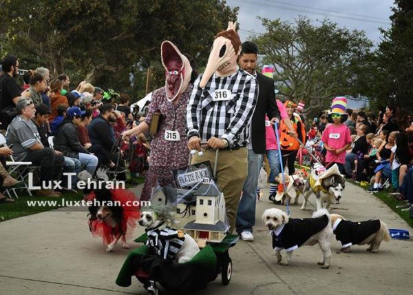 رژه سگ ها در مراسم کالیفرنیا جشن هالووین