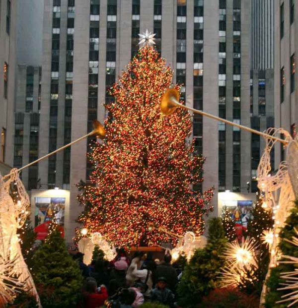 فلسفه درخت کریسمس چیست؟ ؛از روش تزیین درخت کریسمس تا افسانه های آن