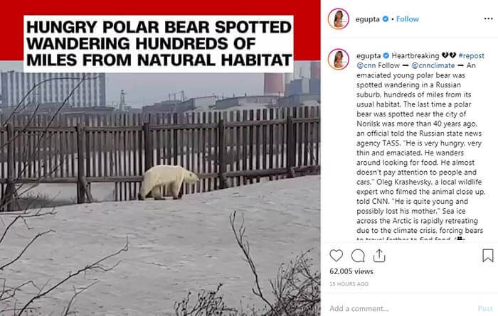 توضیحات اینستاگرامی گوپتا درباره خرس